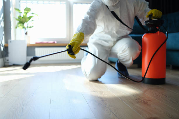 Reliable Biohazard Cleanup contractor in New Market, VA by Trauma Clean Pros
